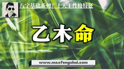 乙木命格|乙木命是什么意思 乙木是什么时候出生的